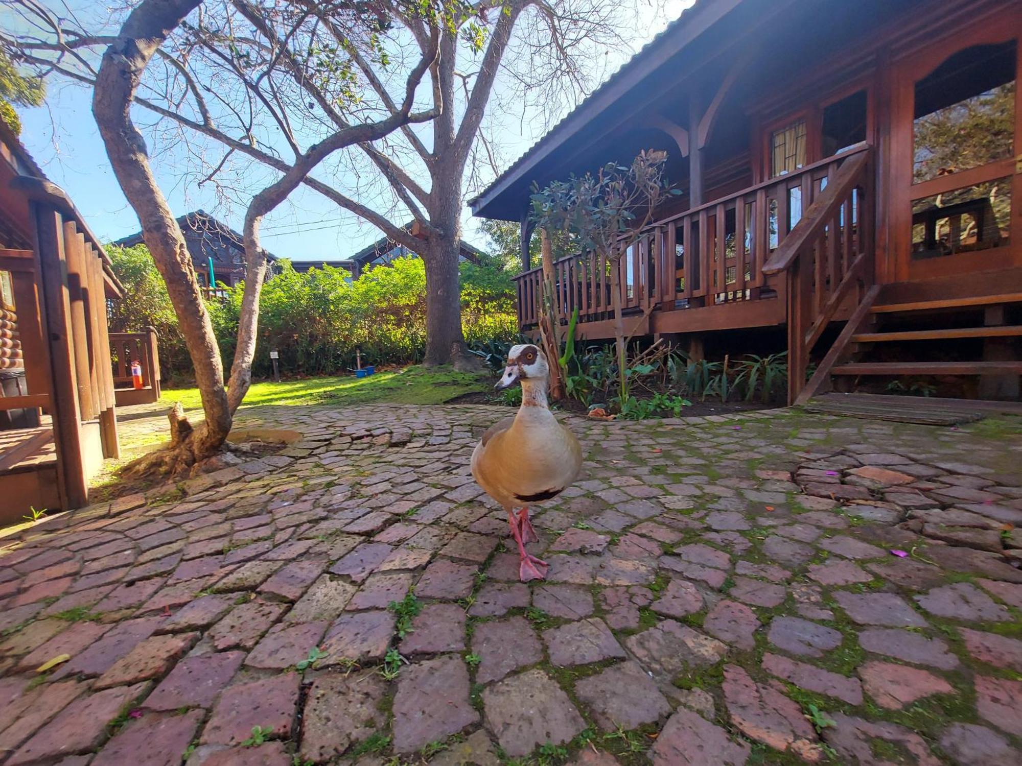Knysna River Club By First Private Stays Eksteriør bilde